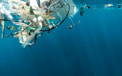 OSPAR adopts the second regional marine litter action plan